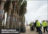  ??  ?? Mbjellja e pemëve në bulevardin e ri të Tiranës