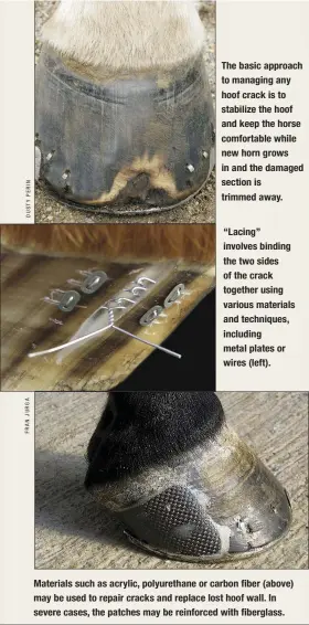  ??  ?? The basic approach to managing any hoof crack is to stabilize the hoof and keep the horse comfortabl­e while new horn grows in and the damaged section is trimmed away.
“Lacing” involves binding the two sides of the crack together using various...