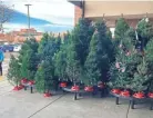  ?? DAVID ZALUBOWSKI/AP ?? Add Christmas trees to the list of items facing shortages and higher prices this year.