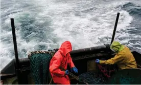  ?? ?? Fishing off Scotland. Migrant fishers on transit visas cannot enter the UK, so must live on the boats. Photograph: Keith Lloyd Davenport/Alamy