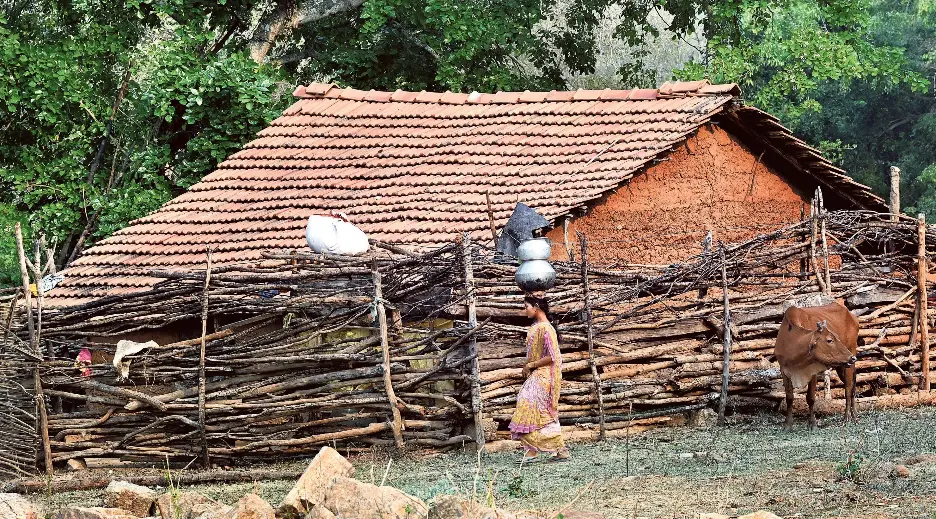 Diseases haunt A.P.’s verdant hills - PressReader
