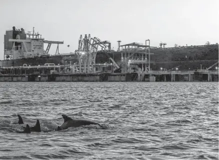  ?? Dylan Baddour/inside Climate News ?? A tanker docks at Enbridge Ingleside Energy Center, North America’s largest onshore crude export terminal. Four proposed offshore oil terminals, all in Texas, would significan­tly increase capacity for the U.S. oil industry.