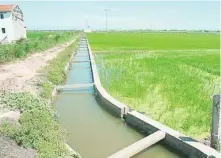  ??  ?? Las acequias regulan la «perellonà» o inundación de los campos