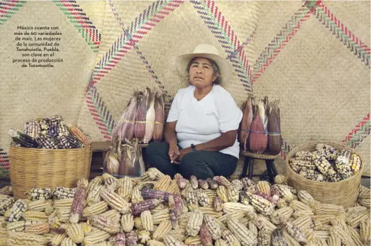  ??  ?? México cuenta con más de 60 variedades de maíz. Las mujeres de la comunidad de Tonahuixtl­a, Puebla, son clave en el proceso de producción de Totomoxtle.