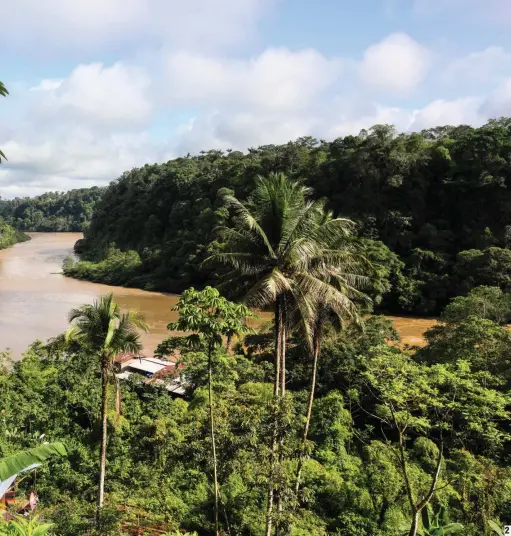  ??  ?? 1. Cultivos de coca en frontera con Ecuador. 2. Alto Mira y Frontera.