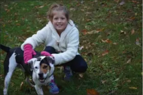  ?? SUBMITTED ?? S’mores, who lost his front leg after being hit by a car, has been named Geauga County’s Number One Dog thanks to an essay written by Olivia Caschera, 9, of Chester Township.