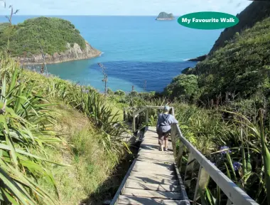  ??  ?? Above right: Stairs to the beach below. Below right: Top of cliff to rest of walk. Paritutu Rock in background.