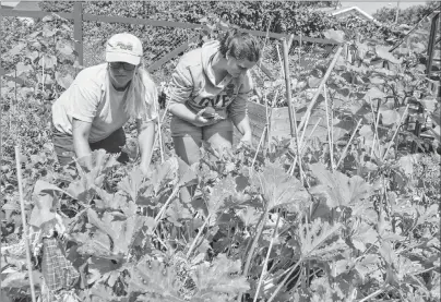  ?? SHARON MONTGOMERY-DUPE/CAPE BRETON POST ?? Kimberly McPherson, left, garden co-ordinator at the Glace Bay Food Bank, and Madison Varrence, 14, of New Waterford, check out the food bank’s community garden. Varrence participat­ed in a program to teach youth how to garden and cook with what they harvest. McPherson said the community garden has helped reduce poverty in the community.