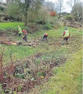  ?? PHOTO: FRED BARRETT ?? Scrub clearance at Crickheath Wharf.