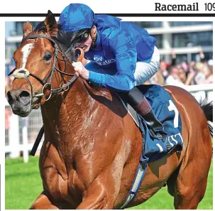  ?? REX ?? Ready to strike: Barney Roy can spring a surprise at Newmarket