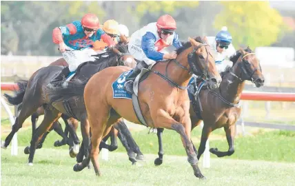  ?? Picture / Race Images ?? Savvy Coup is a strong chance in the Oaks on Saturday.