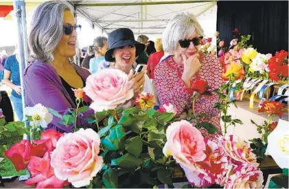  ?? NELVIN C. CEPEDA U_T ?? Martha Blaha (from left), Debbie Cito and Debbie Solove look over the rose exhibit at the 100th Annual Coronado Flower Show.