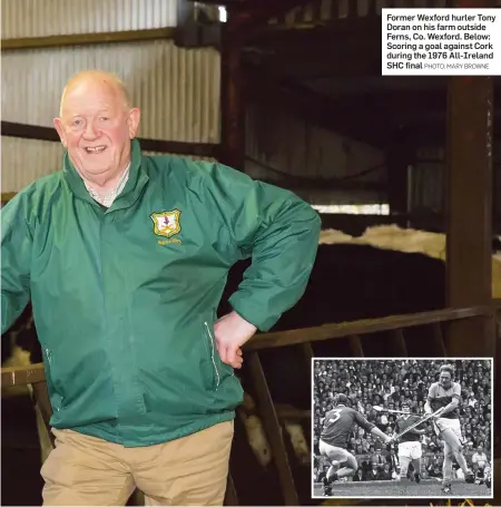  ?? PHOTO: MARY BROWNE ?? Former Wexford hurler Tony Doran on his farm outside Ferns, Co. Wexford. Below: Scoring a goal against Cork during the 1976 All-Ireland SHC final