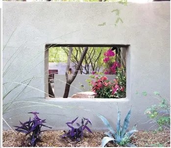  ?? PHOTOS: STEVE GUNTHER/THE MONACELLI PRESS ?? Vivid desert plants enliven urban spaces by landscaper Steve Martino, who encourages people to naturalize their environmen­t and forever banish grass from their yards.