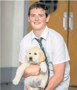  ?? Picture: Steve Brown ?? Logan Fenton with Bella. He believes the golden retriever will be a calming presence in the school.