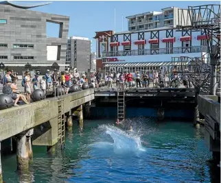  ?? ROSA WOODS/STUFF ?? Te Papa is worth your time on a shore excursion in Wellington.