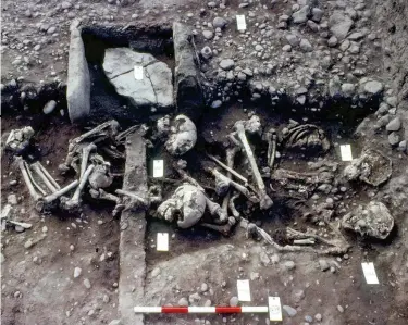  ??  ?? A photograph of the juvenile grave at Repton, taken in 1982. At least two of the skeletons had evidence of violent injuries