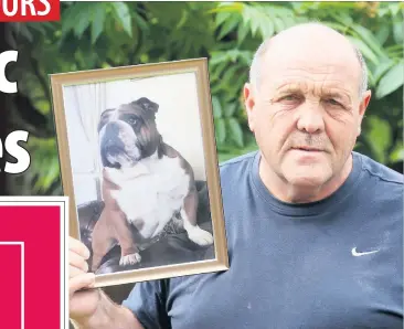  ?? IAIN BUIST ?? ■ Alan Brown, whose dog Rolex died after ingesting blue green algae