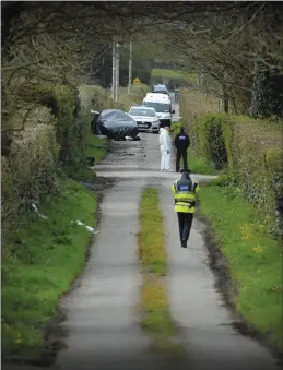  ?? Photo Domnick Walsh ?? The scene of Anthony O’Mahony’s killing at Rattoo, Ballyduff on April 4 2017.