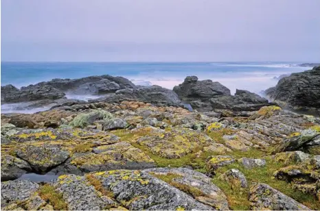  ??  ?? BEAUTIFUL: Tasmania’s King Island is all about great produce, mouthwater­ing cheese, perfect surf and natural wonders. TOP, RIGHT: Broken River at Eungella is the Platypus capital of the world.