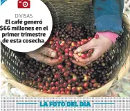  ??  ?? DIVISAS
El café generó $66 millones en el primer trimestre de esta cosecha.