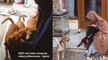  ??  ?? HESTI tak kekok mengusap anjing peliharaan­nya. -Agensi