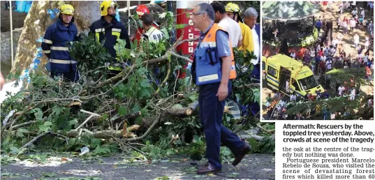  ??  ?? Aftermath: Rescuers by the toppled tree yesterday. Above, crowds at scene of the tragedy