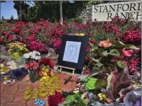  ?? SOPHIE AUSTIN — THE ASSOCIATED PRESS ?? A memorial near the Stanford Ranch Plaza in Rocklin, Calif., on Tuesday, May 23, 2023, that honors Casey Rivara, a man who died after being struck by a car last Thursday while helping a mama duck and her ducklings cross the street.