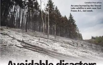  ?? Canadian Press photo ?? An area burned by the Shovel Lake wildfire is seen near Fort Fraser, B.C., last week.