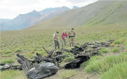  ??  ?? Martes. Una escena desoladora: la aparición de 34 ejemplares envenenado­s en Malargüe.