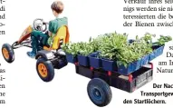  ??  ?? Der Nachwuchs für das Transportg­ewerbe steht schon in den Startlöche­rn.