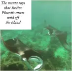  ??  ?? The manta rays
that Justine Picardie swam with off the island