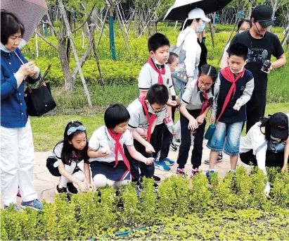  ??  ?? A profession­al guide explains the medical uses of herbs to a group of primary school students.