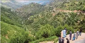  ?? AFP PIC ?? Khyber Pakhtunkhw­a Forest Department officials looking at the forest in Swat valley, northwest Pakistan, last month.