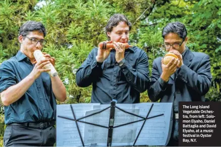  ??  ?? The Long Island Vegetable Orchestra, from left: Solomon Elyaho, Daniel Battaglia and David Elyaho, at a music festival in Oyster Bay, N.Y.