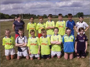  ??  ?? Participan­ts at the Dunlavin GAA Cúl Camp last week. Photo: Joe Byrne