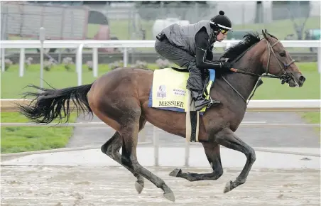  ?? THE ASSOCIATED PRESS ?? Kentucky Derby entrant Messier works out at Churchill Downs in Louisville, Kentucky, this week.