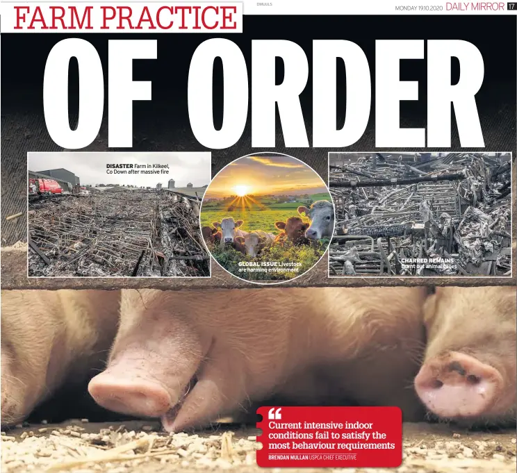  ??  ?? Farm in Kilkeel, Co Down after massive fire
GLOBAL ISSUE Livestock are harming environmen­t
CHARRED REMAINS Burnt out animal cages