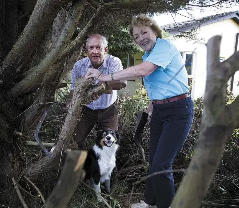  ??  ?? BONDING: Tom and Mary Rowley get to grips with the shrubbery in the garden in Blackrock, Co Louth. Photo: Tom Conachy