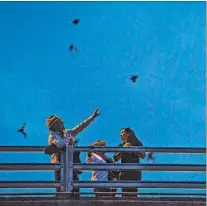  ?? ANN HERMES/ CHRISTIAN SCIENCE MONITOR 2015 ?? Tourists watch hundreds of Mexican freetailed bats emerge at sunset from under the Congress Avenue Bridge over the Colorado River in Austin, Texas.