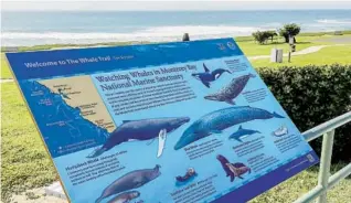  ?? COURTESY OF THE WHALE TRAIL ?? A Whale Trail sign at San Simeon, along California’s Central Coast, shows what visitors might likely see in the water, including elephant seals, sea otters, sea lions and a variety of whales.