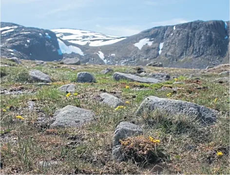  ?? Carbon storage compared to other UK parks. ?? ENVIRONMEN­T: The Cairngorms National Park has more capacity for