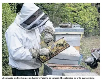  ??  ?? L’Ecomusée du Perche met en lumière l’abeille ce samedi 24 septembre pour la quatorzièm­e édition.