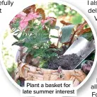  ??  ?? Plant a basket for late summer interest