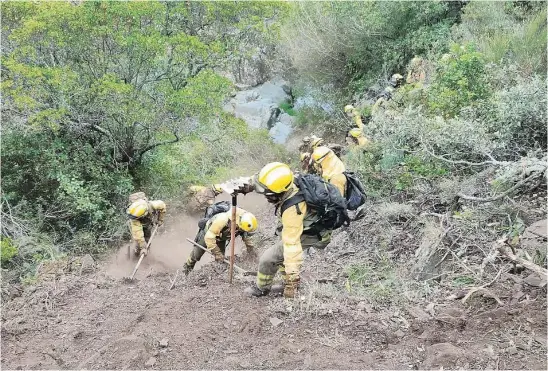  ?? EFE ?? Varios trabajador­es de las Brigadas de Refuerzo en Incendios Forestales (BRIF) luchan contra el fuego en el incendio de Las Hurdes