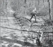  ?? STEVE FAGIN/SPECIAL TO THE DAY ?? Ruts and mud make hiking a challenge on the Enduro Trail in Pachaug State Forest.