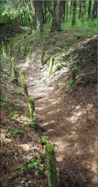  ??  ?? Throughout Picardy and Lorraine in France, trenches built by World War I soldiers 100 years ago are still visible.