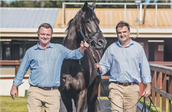  ?? Picture: JERAD WILLIAMS ?? New Magic Millions managing director Barry Bowditch (left) and outgoing director Vin Cox at the sales yard ahead of today’s launch.