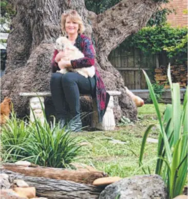  ?? Photos: MARGARET LINLEY ?? NEW LIFE OUTDOORS: Silke Heinsen relaxes in the historic Portarling­ton garden that she has transforme­d from overgrown to awe-inspiring.