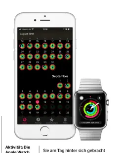  ??  ?? Aktivität: Die Apple Watch erfasst Ihre Daten über den Tag, das iPhone bietet eine langfristi­ge Übersicht.